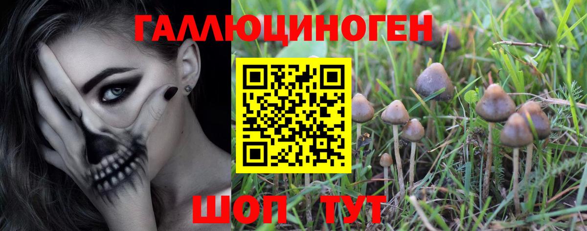 цены   Галлюциногенные грибы мухоморы  Вход с VPN  Мирный  Псилоцибиновые грибы мухоморы 